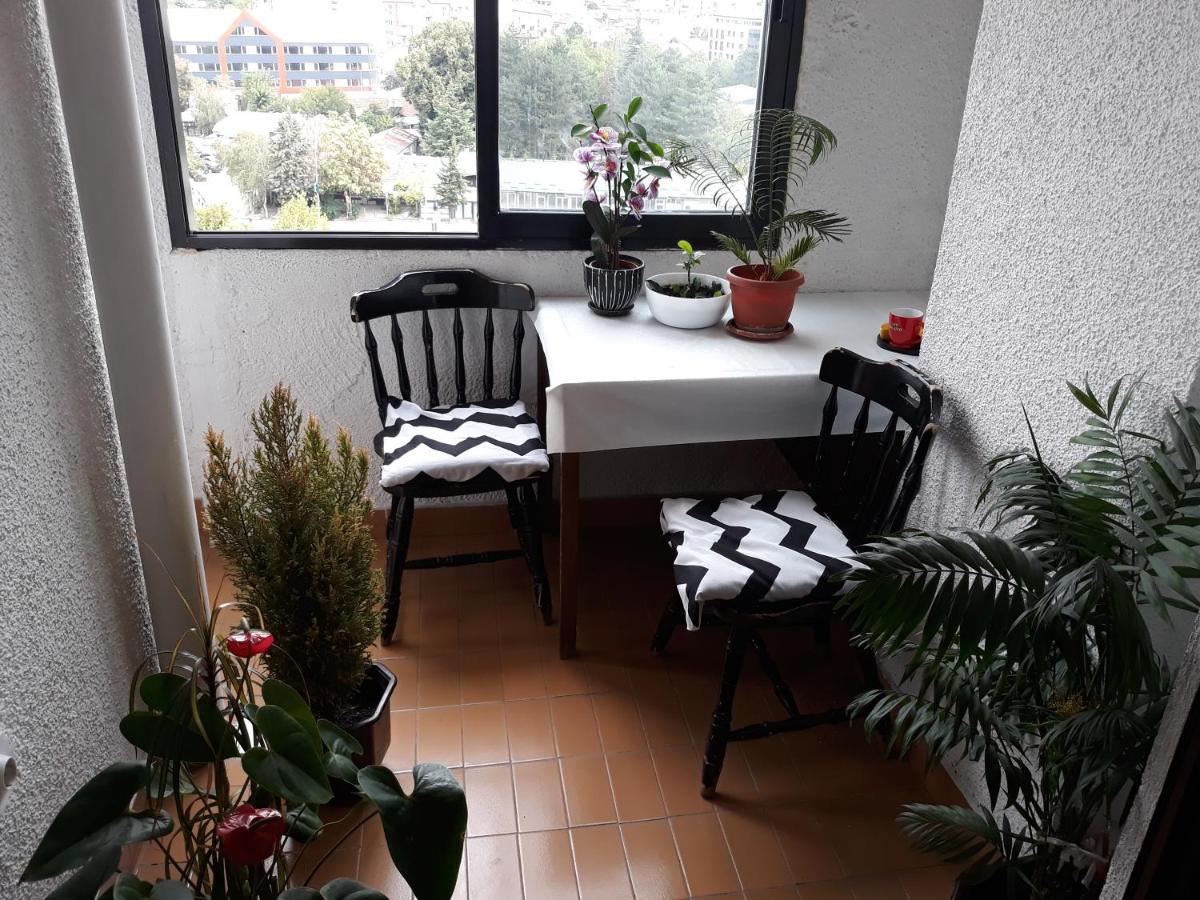 View Apartment สโกเปีย ภายนอก รูปภาพ